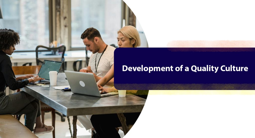 Development of a Quality Culture
