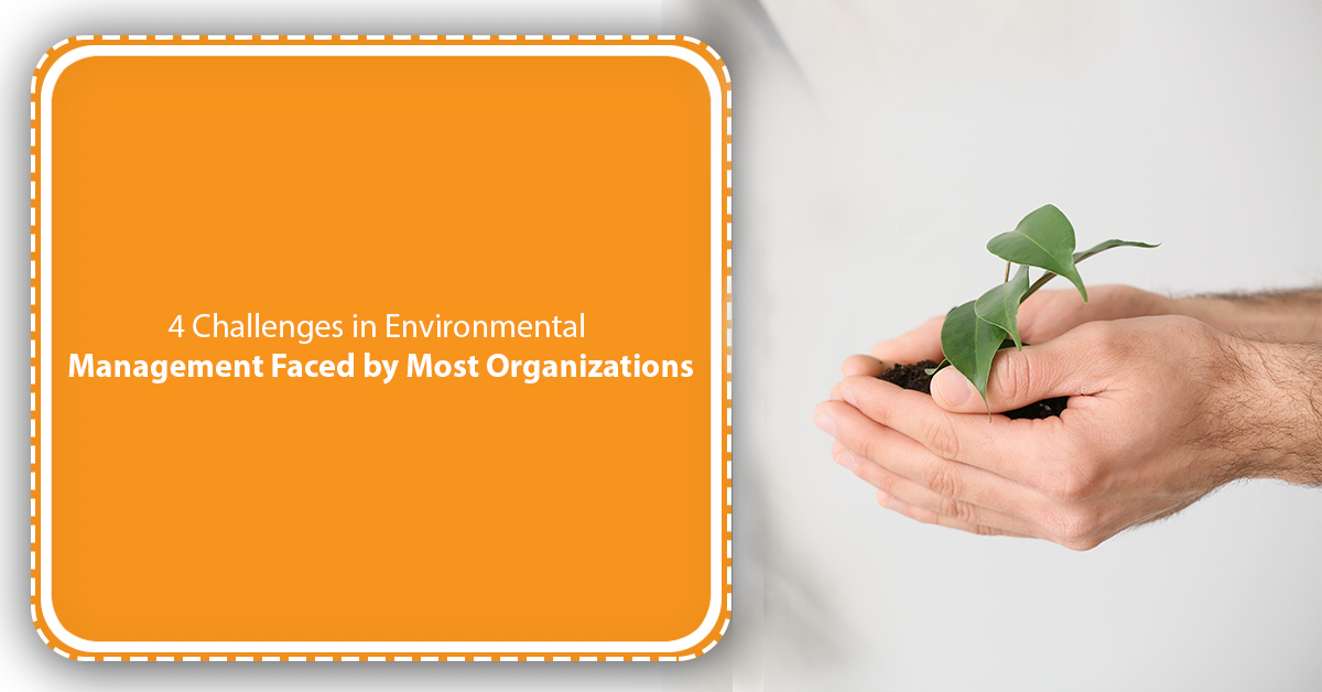 4 Challenges in Environmental Management Faced by Most Organizations