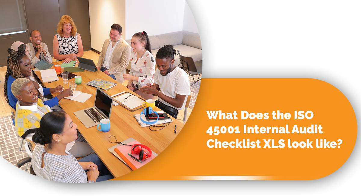 What Does the ISO 45001 Internal Audit Checklist XLS look like?