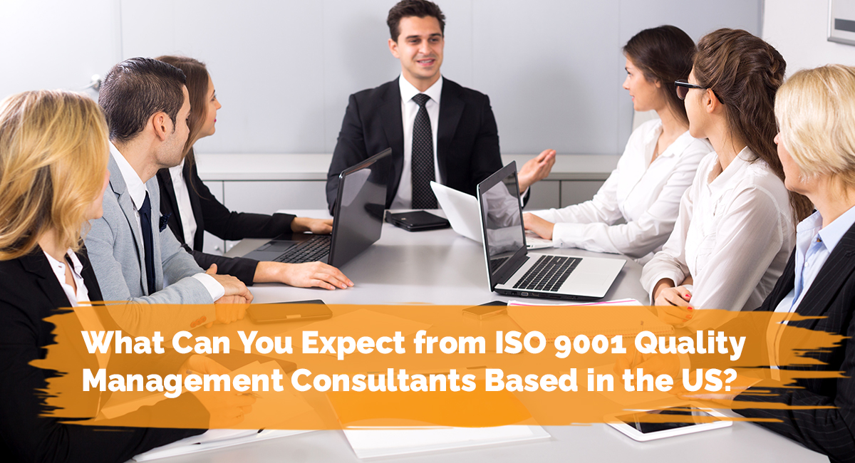 What Can You Expect from ISO 9001 Quality Management Consultants Based in the US?