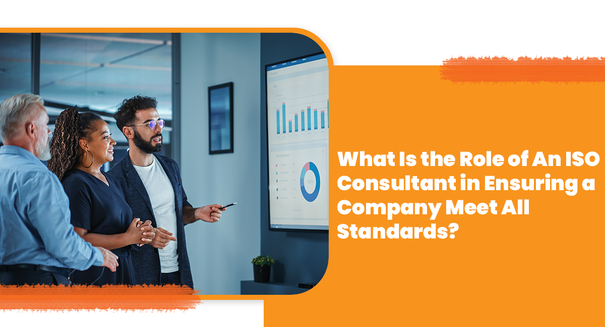 What Is the Role of An ISO Consultant in Ensuring a Company Meet All Standards